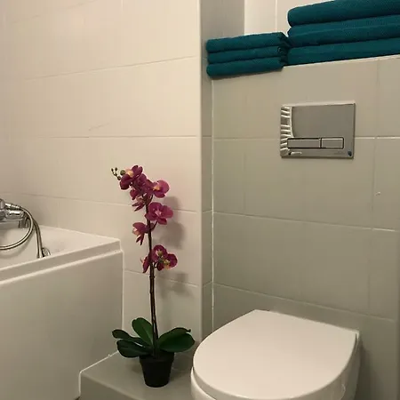 Apartament Strzalowa *